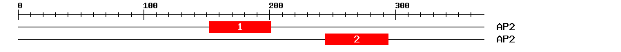 Signature Domain