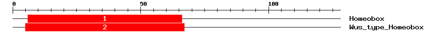 Signature Domain