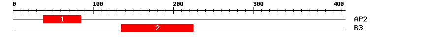 Signature Domain