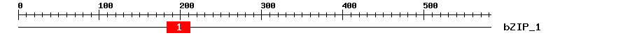 Signature Domain