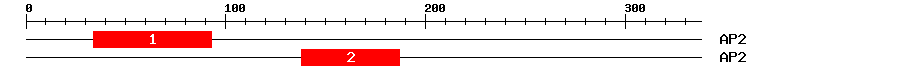 Signature Domain