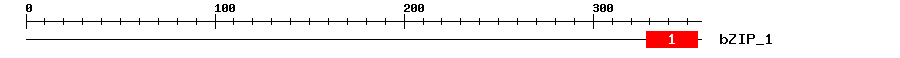 Signature Domain
