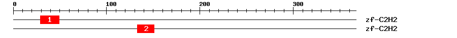 Signature Domain