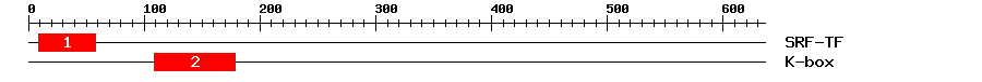 Signature Domain