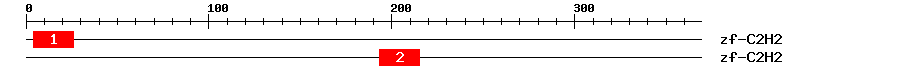 Signature Domain