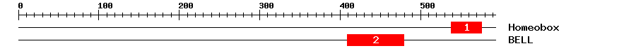 Signature Domain