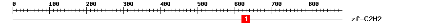 Signature Domain