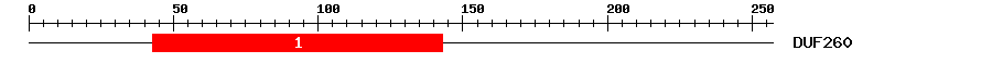Signature Domain