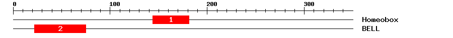 Signature Domain