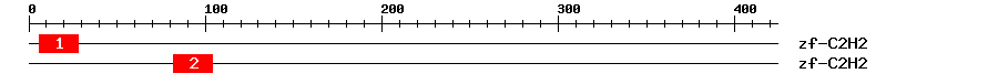Signature Domain