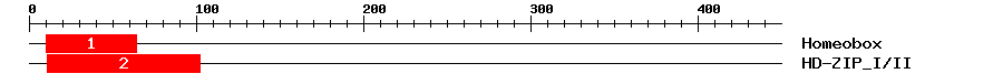 Signature Domain