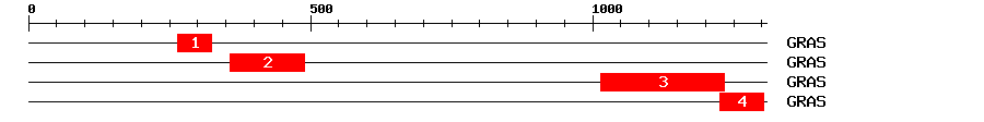 Signature Domain