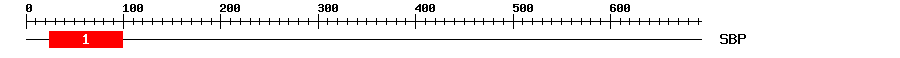 Signature Domain