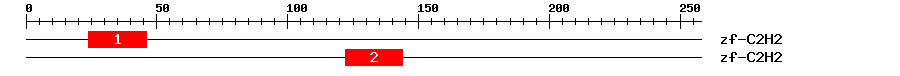 Signature Domain