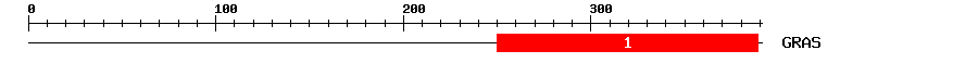 Signature Domain
