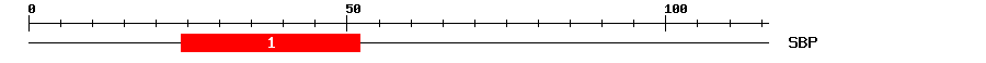 Signature Domain