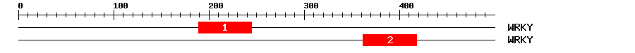 Signature Domain