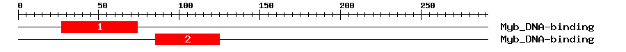 Signature Domain
