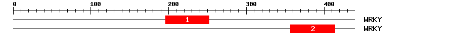Signature Domain