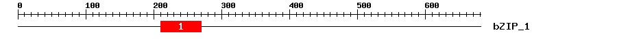 Signature Domain