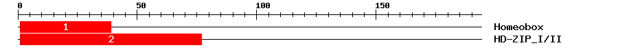 Signature Domain