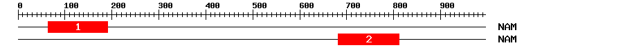 Signature Domain