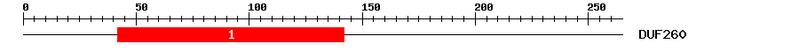 Signature Domain