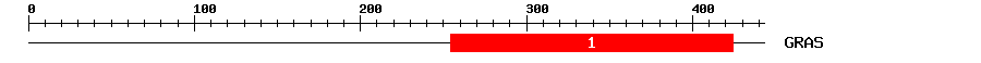 Signature Domain