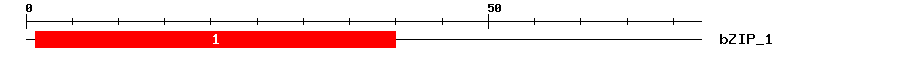 Signature Domain