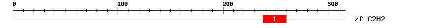 Signature Domain