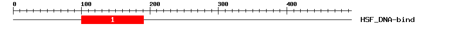Signature Domain