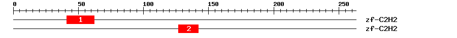 Signature Domain