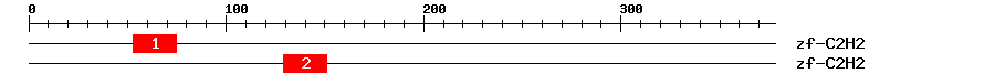 Signature Domain
