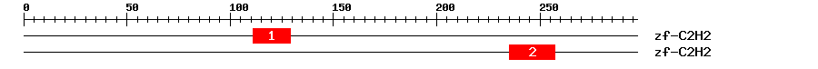 Signature Domain