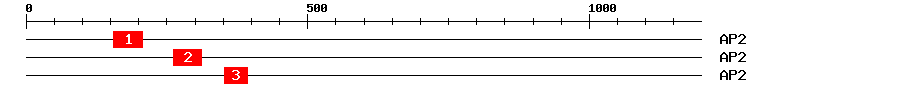 Signature Domain