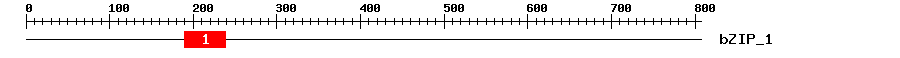 Signature Domain