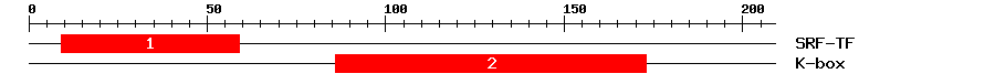 Signature Domain