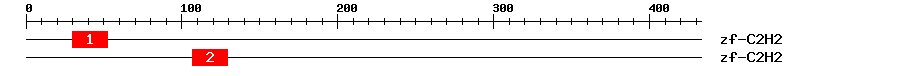 Signature Domain