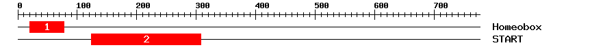 Signature Domain