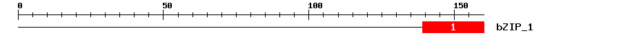 Signature Domain