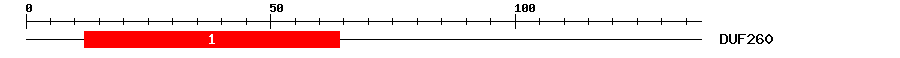 Signature Domain