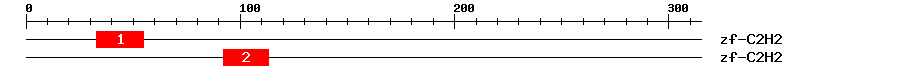 Signature Domain