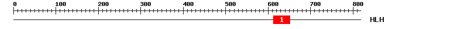 Signature Domain