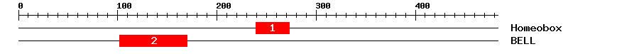 Signature Domain