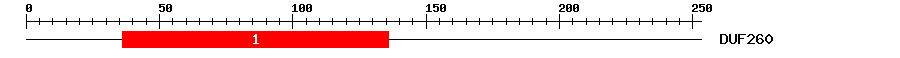 Signature Domain