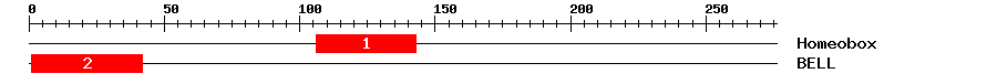Signature Domain