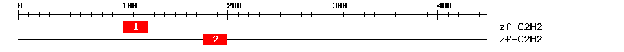 Signature Domain