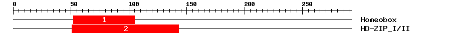 Signature Domain