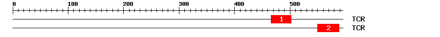 Signature Domain