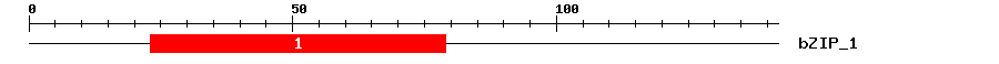 Signature Domain